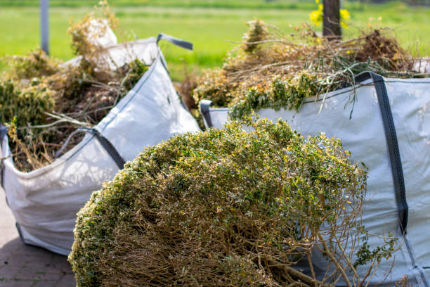 Best Furniture Removal Near Me  in Clifton Heights, PA