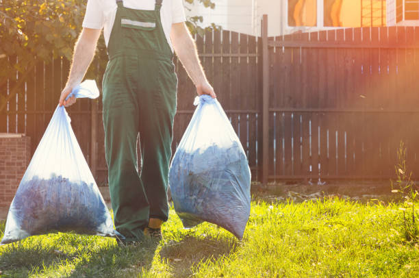 Basement Cleanout Services in Clifton Heights, PA