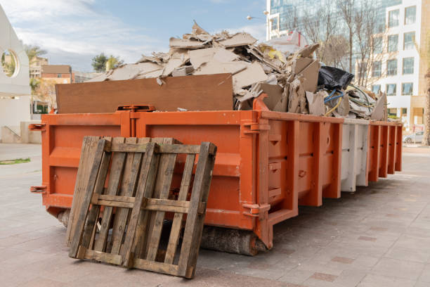 Yard Cleanup Services in Clifton Heights, PA