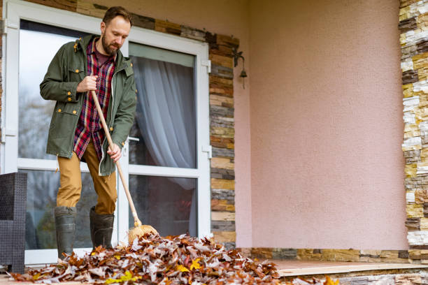 Best Affordable Junk Removal Services  in Clifton Heights, PA